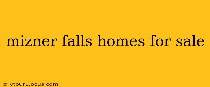 mizner falls homes for sale