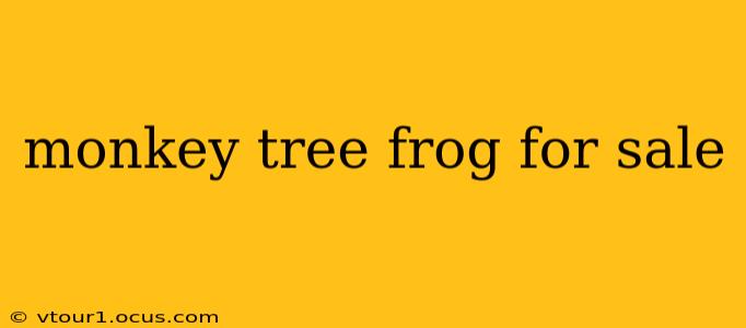 monkey tree frog for sale