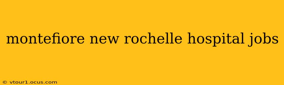 montefiore new rochelle hospital jobs