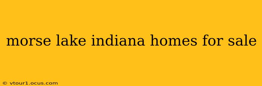morse lake indiana homes for sale