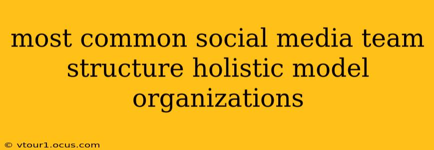 most common social media team structure holistic model organizations