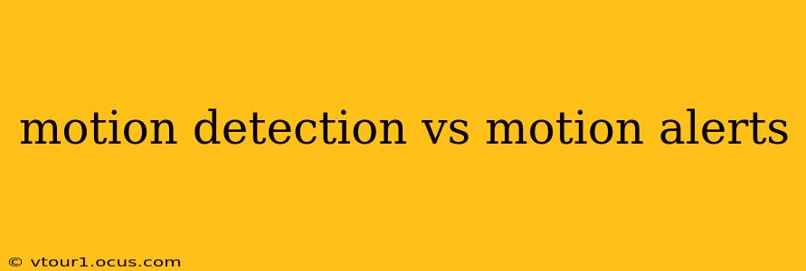 motion detection vs motion alerts