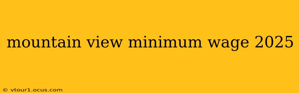 mountain view minimum wage 2025