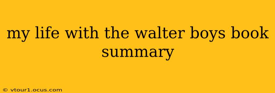 my life with the walter boys book summary