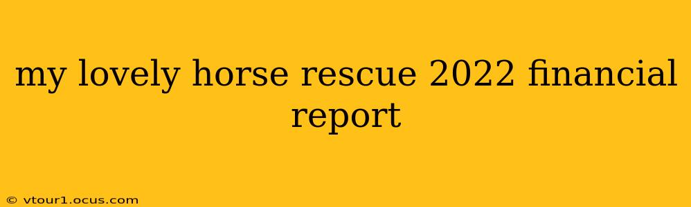 my lovely horse rescue 2022 financial report