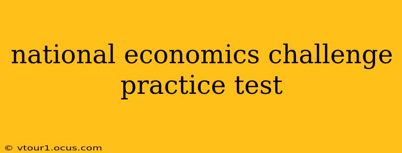 national economics challenge practice test