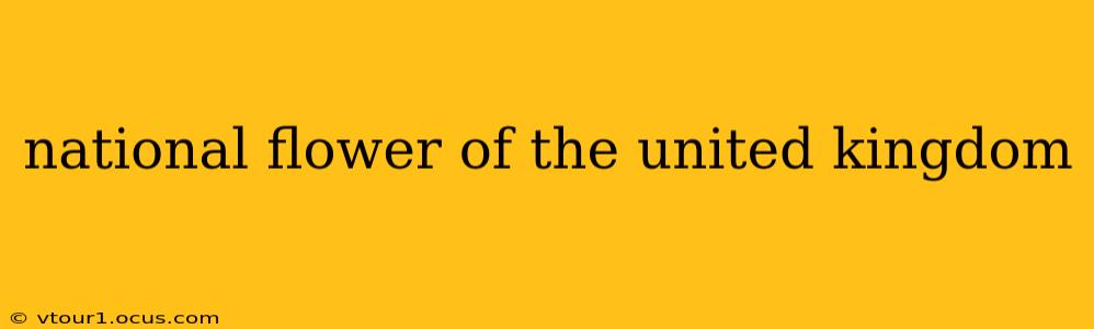 national flower of the united kingdom