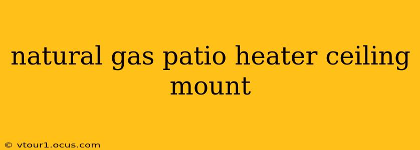 natural gas patio heater ceiling mount