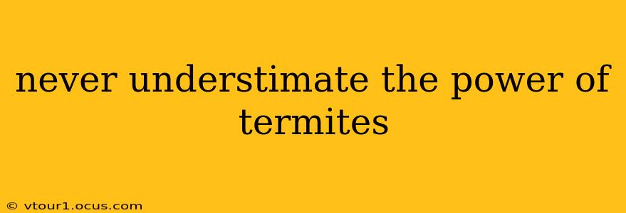 never understimate the power of termites