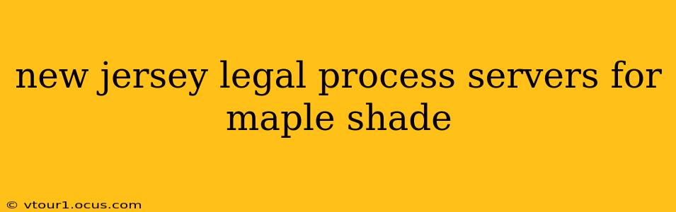 new jersey legal process servers for maple shade