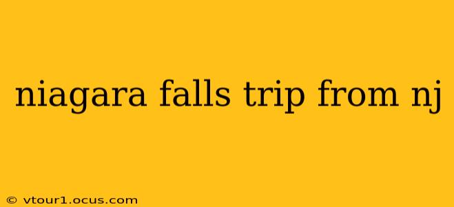 niagara falls trip from nj
