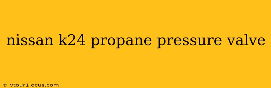 nissan k24 propane pressure valve