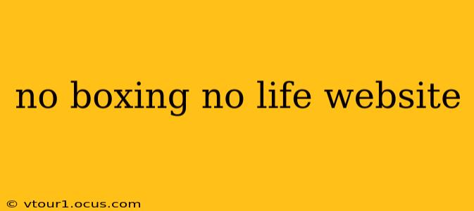 no boxing no life website