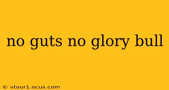 no guts no glory bull