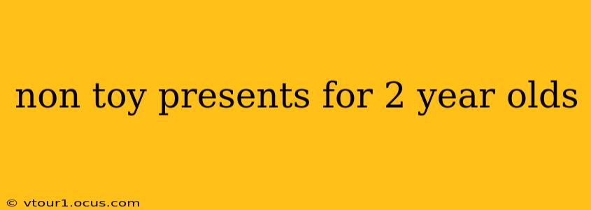non toy presents for 2 year olds