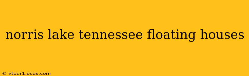 norris lake tennessee floating houses