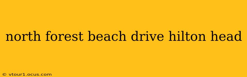 north forest beach drive hilton head