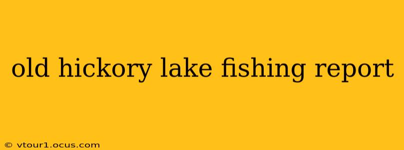 old hickory lake fishing report