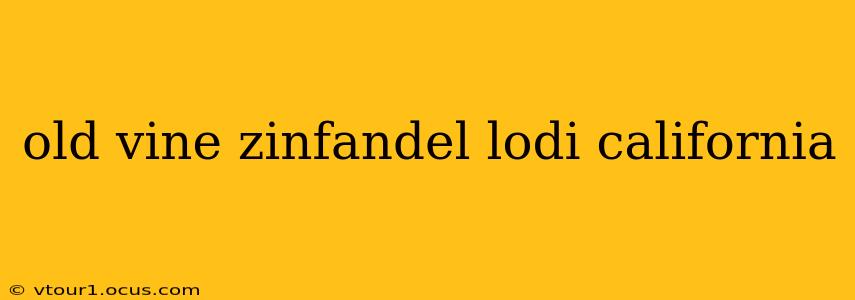 old vine zinfandel lodi california
