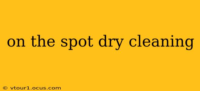 on the spot dry cleaning