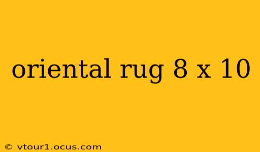 oriental rug 8 x 10