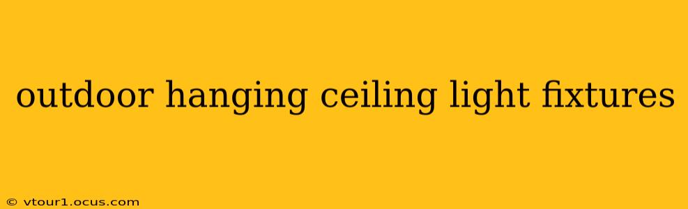 outdoor hanging ceiling light fixtures