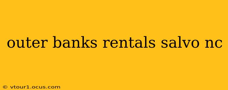 outer banks rentals salvo nc