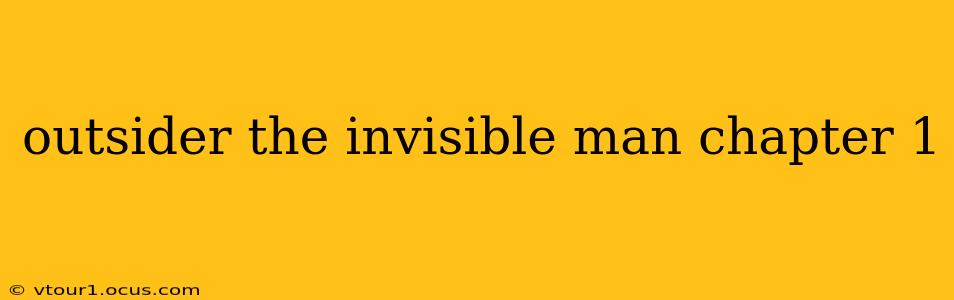 outsider the invisible man chapter 1