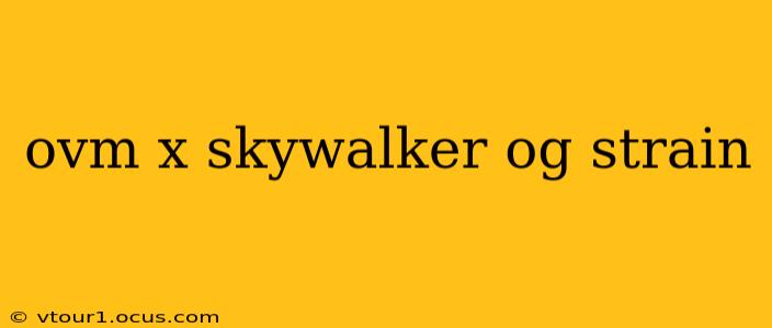 ovm x skywalker og strain