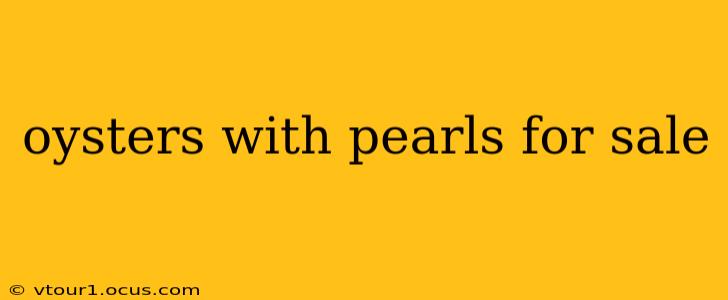 oysters with pearls for sale