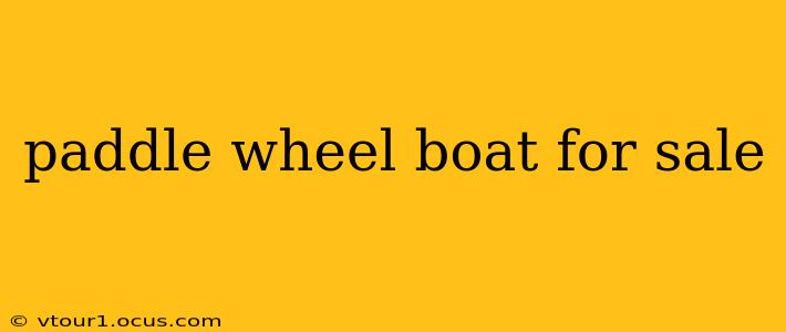 paddle wheel boat for sale