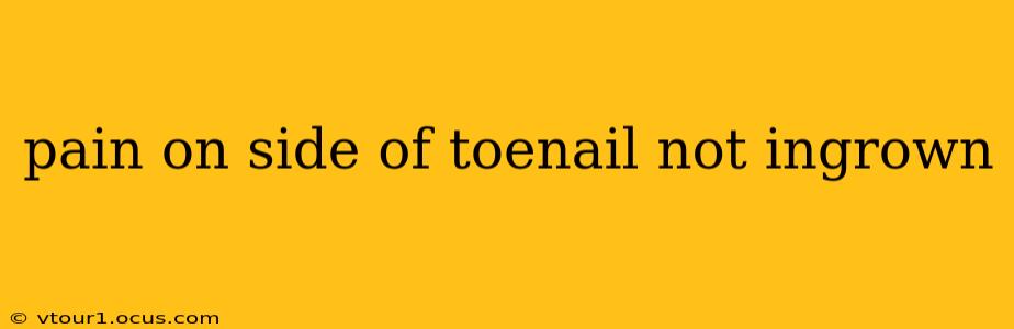pain on side of toenail not ingrown