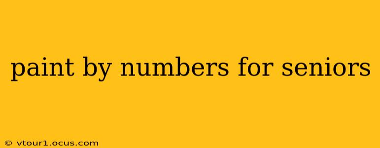 paint by numbers for seniors