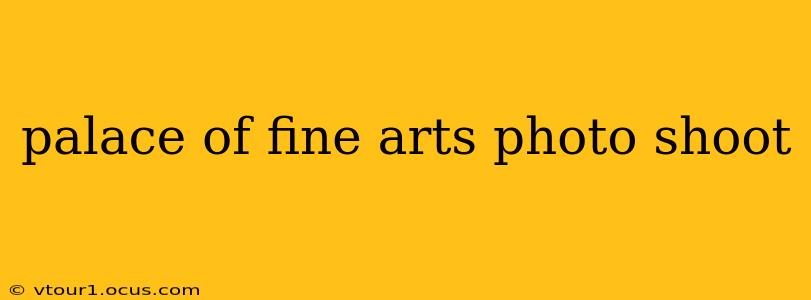 palace of fine arts photo shoot
