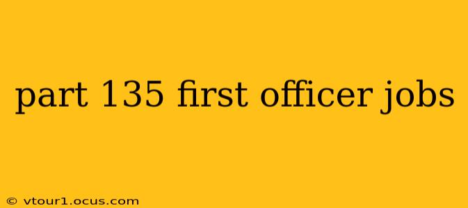 part 135 first officer jobs