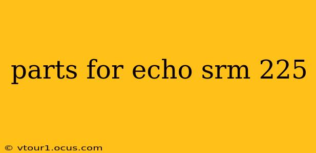 parts for echo srm 225