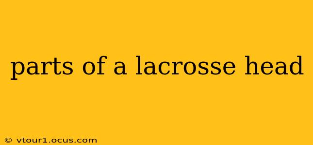 parts of a lacrosse head