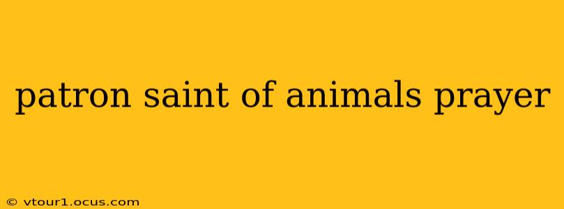 patron saint of animals prayer