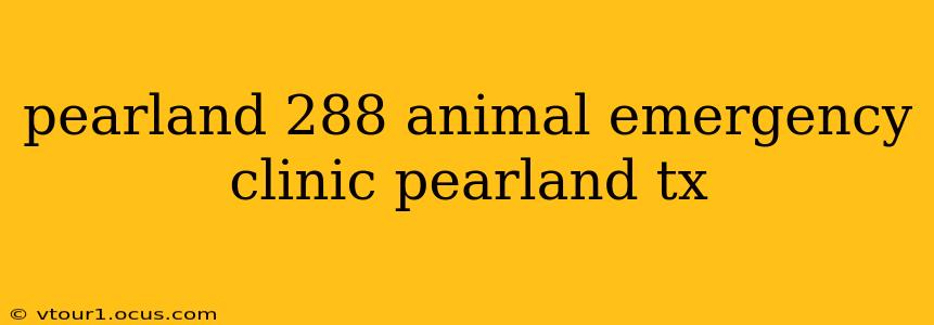 pearland 288 animal emergency clinic pearland tx