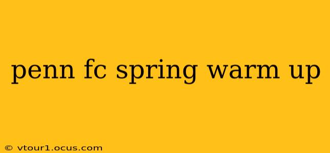 penn fc spring warm up