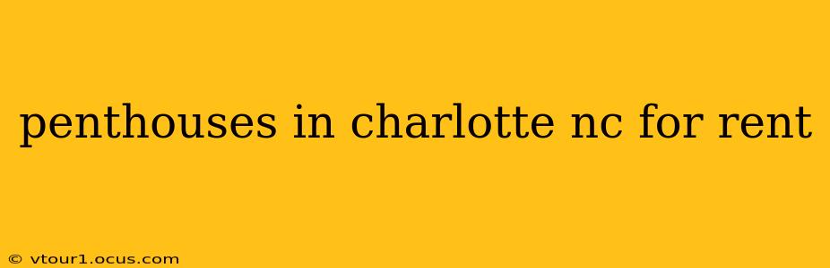 penthouses in charlotte nc for rent