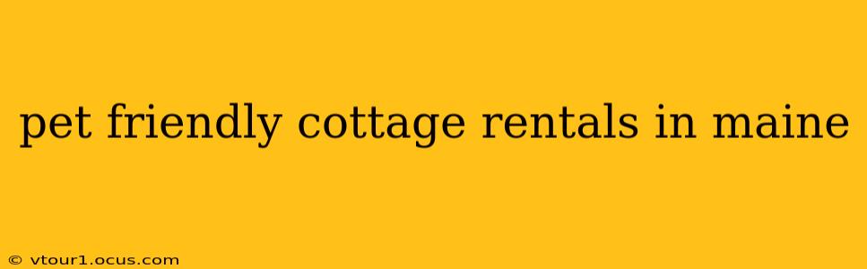 pet friendly cottage rentals in maine