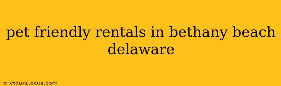 pet friendly rentals in bethany beach delaware