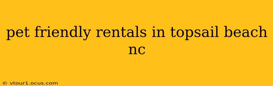 pet friendly rentals in topsail beach nc