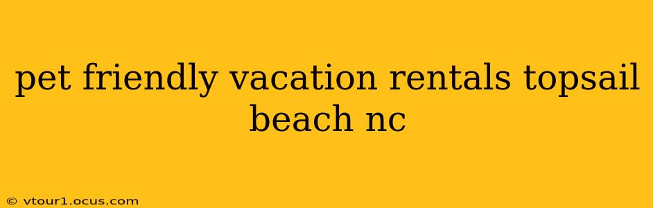 pet friendly vacation rentals topsail beach nc