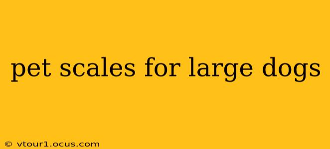 pet scales for large dogs