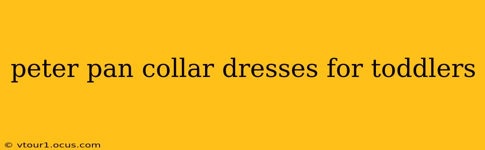 peter pan collar dresses for toddlers