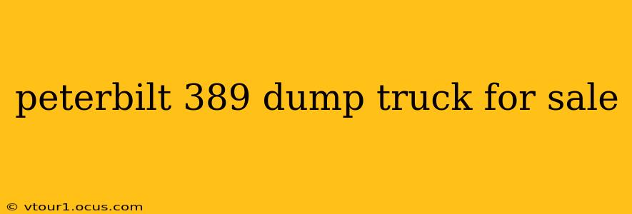 peterbilt 389 dump truck for sale