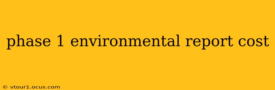 phase 1 environmental report cost