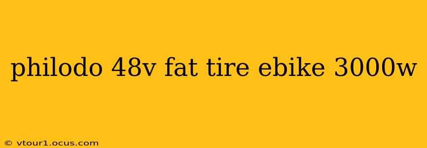 philodo 48v fat tire ebike 3000w